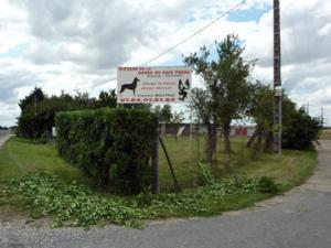 L'élevage de chiens de la horde du Bois perdu